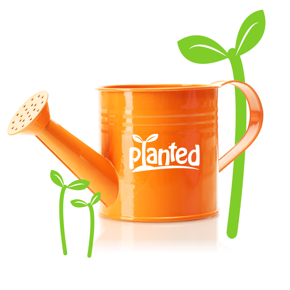 Planted UK: How We Grew